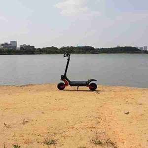 Fabricaci¨®n de patinetes el¨¦ctricos Precio China