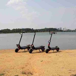 Patinete el¨¦ctrico caliente de doble motor